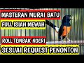 MASTERAN MURAI BATU FULL ISIAN TEMBAKAN CILILIN SAMBUNG KAPAS TEMBAK KENARI CUNGKOK LOVEBIRD CIGUN