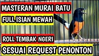 MASTERAN MURAI BATU FULL ISIAN TEMBAKAN CILILIN SAMBUNG KAPAS TEMBAK KENARI CUNGKOK LOVEBIRD CIGUN