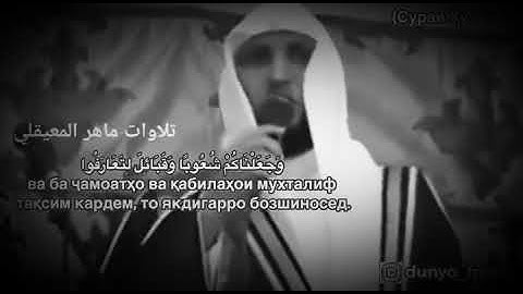 تلاوة خاشعة مؤثرة جدا🍃 الشيخ ماهر المعيقلي،🍃 حالات واتس اب 🍃