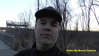 I Saw A Bobcat At Burnaby Lake by Bruce Causier 1,431 views 5 years ago 56 seconds
