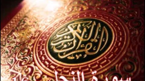 سورة النحل - ناصر القطامي | Surah AL-Nahl - Nasser AL-Qatami