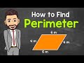Understanding Perimeter with Mr. J