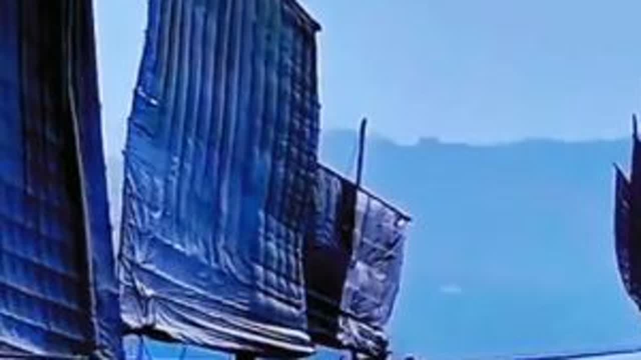 微风的柔情吹动着帆船的浪漫，醉美太湖，美就美在太湖水 #太湖美 #旅行