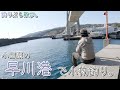 【小物釣り】神奈川県小田原 早川港で小物釣り。【海釣り】