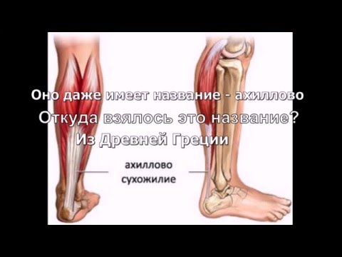 Ахиллово сухожилие - YouTube