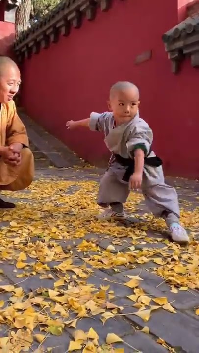 Shaolin Kung Fu #Shorts#monk#bruce lee#jackie chan#yipman#mma#ufc#gym#workout#Muay Thai#wwe