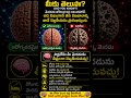 Lack of Sleep Can Damage Your Brain | The Shocking Truth About Sleep #shorts#youtubeshorts