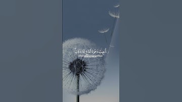 #القرآن_الكريم #اكسبلور #quran #المصحف #عبد_الباسط_عبد_الصمد #تلاوة_خاشعة #خشوع_القرآن