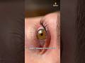 А вы уже пробовали ламинирование ресниц? 👁️@brera.moscow