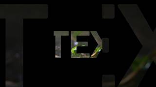 Text on screen// Inshot Editing Tutorial #editing #inshot editing#videoediting
