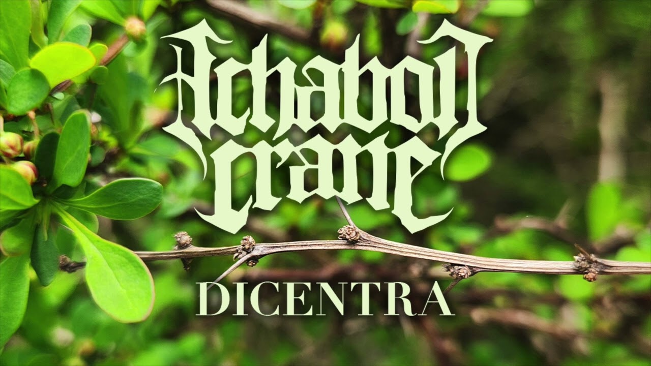 Watch Ichabod Crane - Dicentra on YouTube Watch Ichabod Crane - Dicentra on YouTube