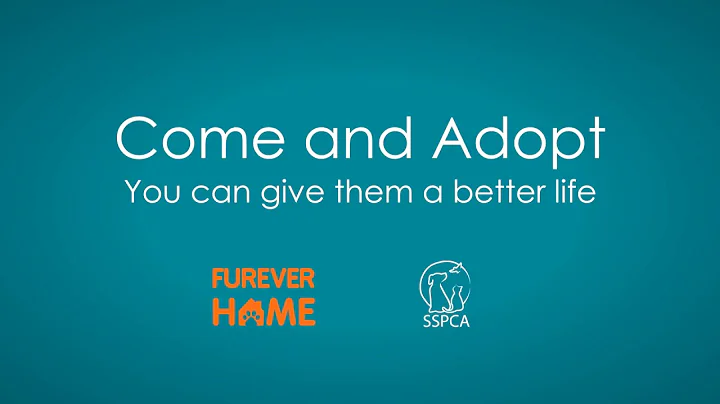 SSPCA tvads  By angela lok