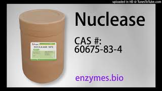 Nuclease Enzyme Suppliers CAS 60675-83-4 by Enzymes Wholesale 29 views 3 years ago 1 minute, 35 seconds