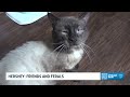 16 To The Rescue: Hershey