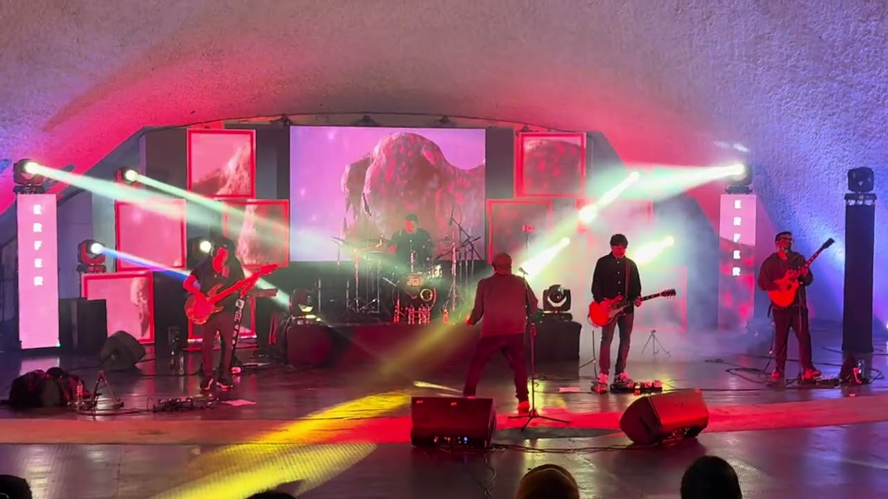 VIERNES VERDE — PANTERA ONCA (LIVE)