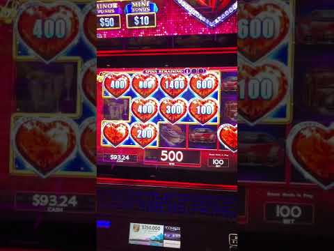 Lopesan Costa Bavaro Resort Spa & Casino: Our Travel Agent