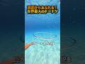 水の中だけで見られる不思議な現象