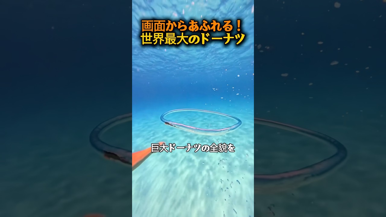 水の中だけで見られる不思議な現象
