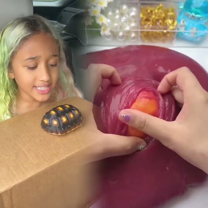 195f998ecb9fc12d8c9ff50a38aec858_raw