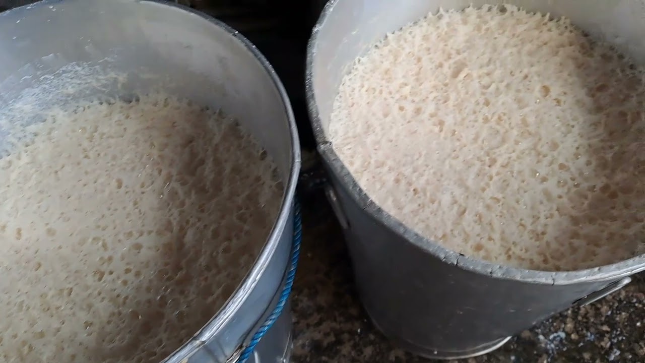 WILMARS TAHO..order na po kayo [TAHO FACTORY TAYTAY,RIZAL PHILIPPINES  🇵🇭]