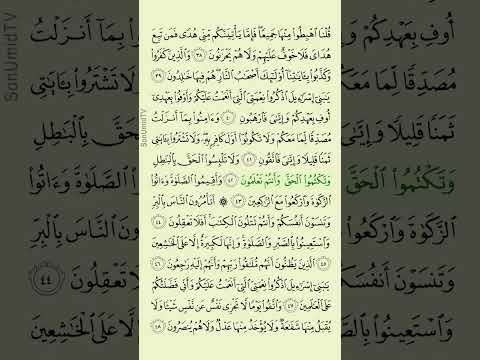 Bəqərə surəsi (38-48) - Hacı Rahib | Ruhunuzu dinləndirin