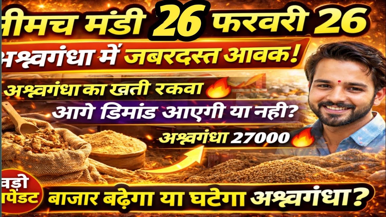 नीमच मंडी भाव। आज का नयी असगंध जड़ का भाव। Ashwagandha ka bhav neemuch mandi asgandh bhav today 