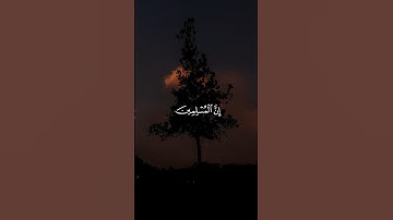 إِنَّ الْمُسْلِمِينَ وَالْمُسْلِمَاتِ || سورة الأحزاب #muhammad_loiq 🤍🌱