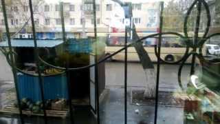 WP 20131022 003
