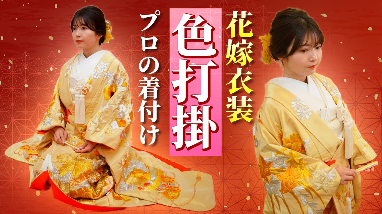 Wedding bridal attire] A popular professional gives a complete