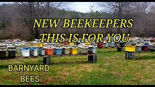 Beekeeping For Beginners Advice For Success