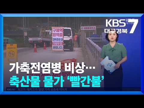 [같이경제] 가축전염병 비상…<strong>축산물</strong> 물가 ‘빨간불’ / KBS  2026.07.08.