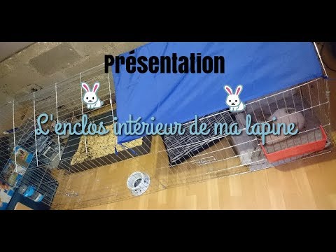 [Présentation] L'enclos intérieur de ma lapine 🐇