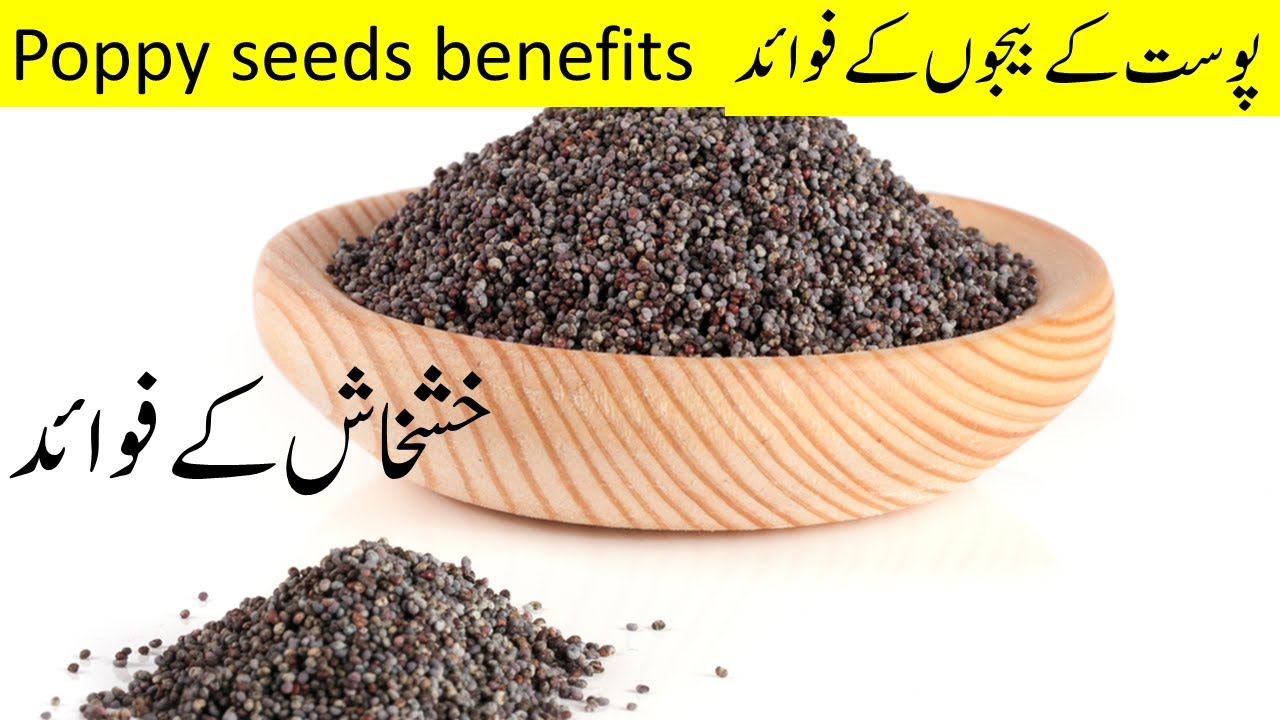 poppy seeds benefits poppy seeds alternative medicine Ayurveda and