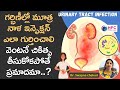 మూత్రనాళ ఇన్ఫెక్షన్‌ ఎలా గుర్తించాలి || Urinary Tract infections Symptoms - Tretment || HFC