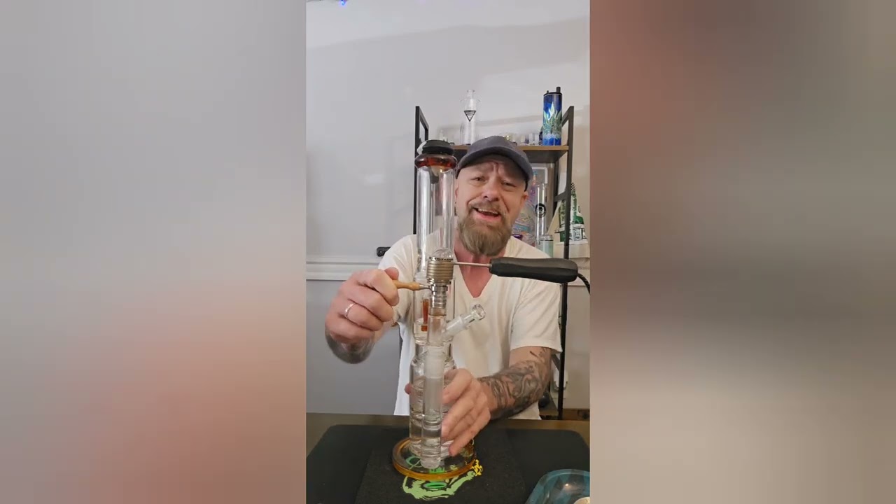 *Wonderland Cannabis Co* Modified Grapes strain review