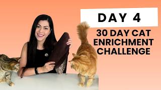 🗓️Day 4 of 30 Day Cat Enrichment Challenge | Towel Treat Wrap screenshot 3