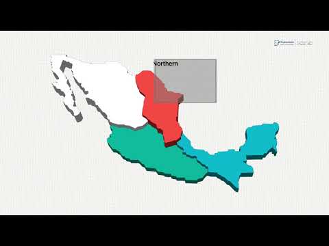 Curso de Técnico en Business Analytics 13