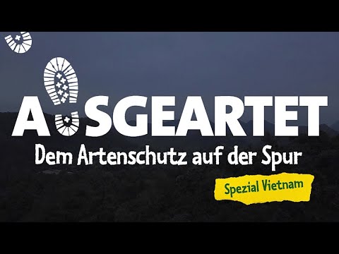 Ausgeartet Spezial: Entdeckertage Bienen