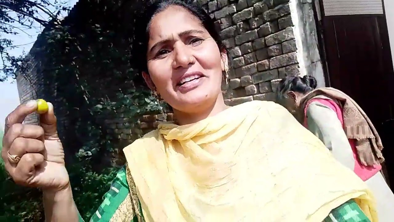 ਕੀ ਨੇ ਕਿੰਨੇ ਬੇਰ ਤੋੜੇ ਦੇਖੋ ਬਲੋਗ ਦੇ ਵਿੱਚ