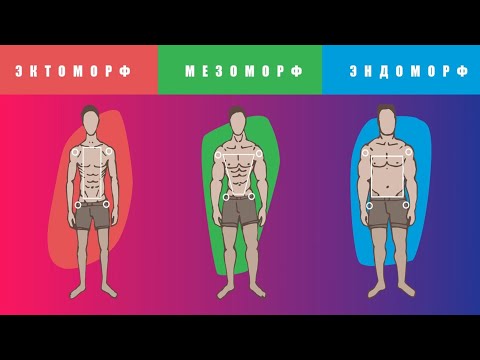 Видео: Что такое мезоморфный тип тела и какая диета для него лучше?