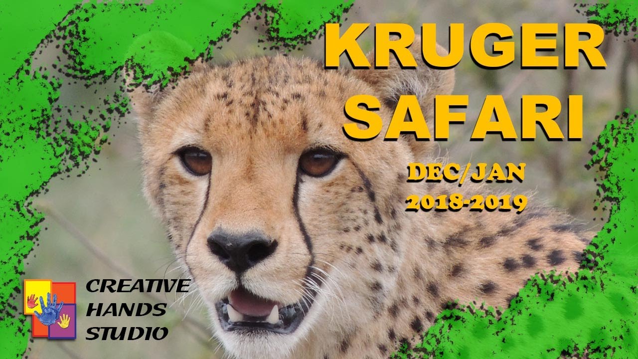 KRUGER SAFARI HOLIDAY TO REMEMBER - KRUGER NATIONAL PARK