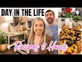 COOKING AND SHOPPING | HOME DECOR HAUL | WHATS FOR DINNER | DAY IN THE LIFE | JESSICA O'DONOHUE