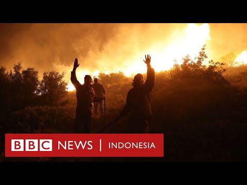 Video: Seberapa panas kebakaran hutan?