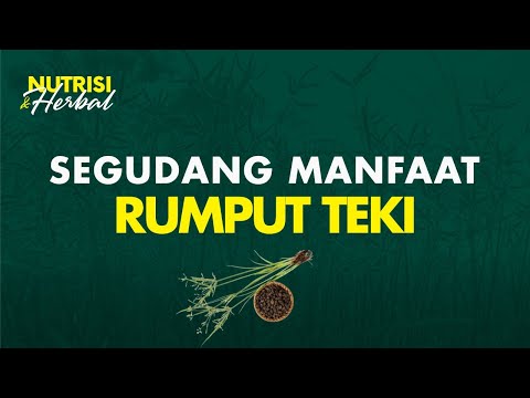 Video: Save Herbal Buatan Sendiri: Tumbuh Herbal Untuk Salep