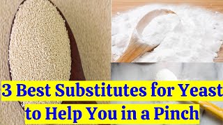 3 Best Substitutes for Yeast to Help You in a Pinch