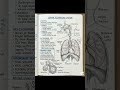 class 10 science biology chapter 1st "Life Processe"