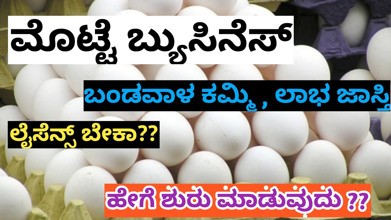 Egg business | How to start egg wholesale/distribution business in Kannada (2022) | Money in Kannada