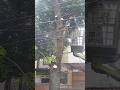 Woodworking tips and tricks tree feeling #shortvideo #chainsaw
