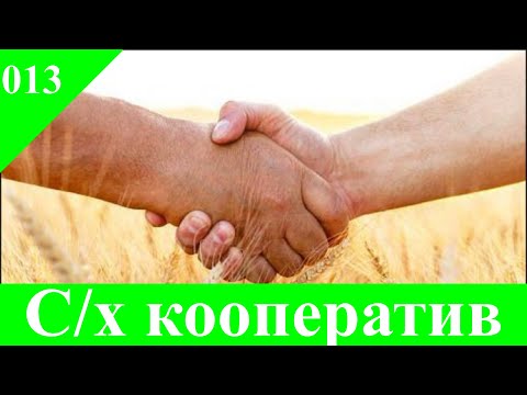 013. Агрофинансы. Сельскохозяйственный кооператив.