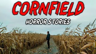 8 True Cornfield Horror Stories We Heard Whispering Between The Stalks